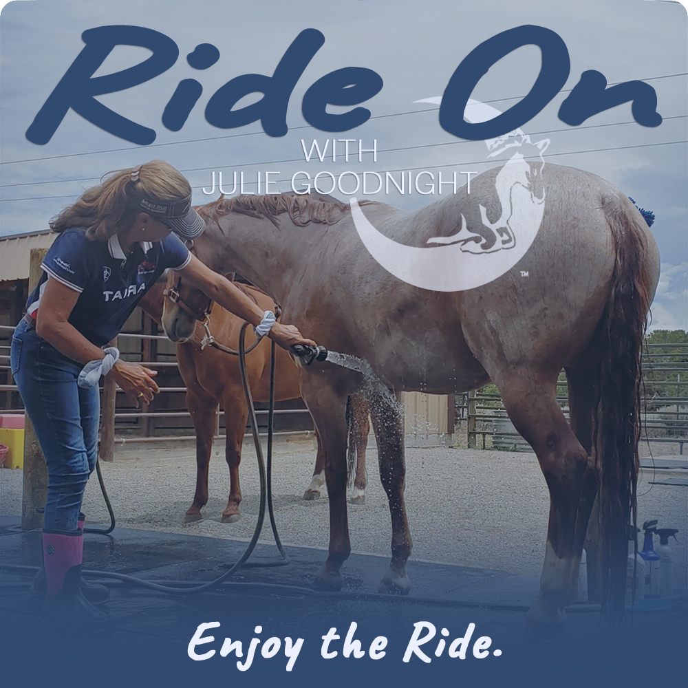 Canter with Confidence with Julie Goodnight's Principles of Riding 4 
