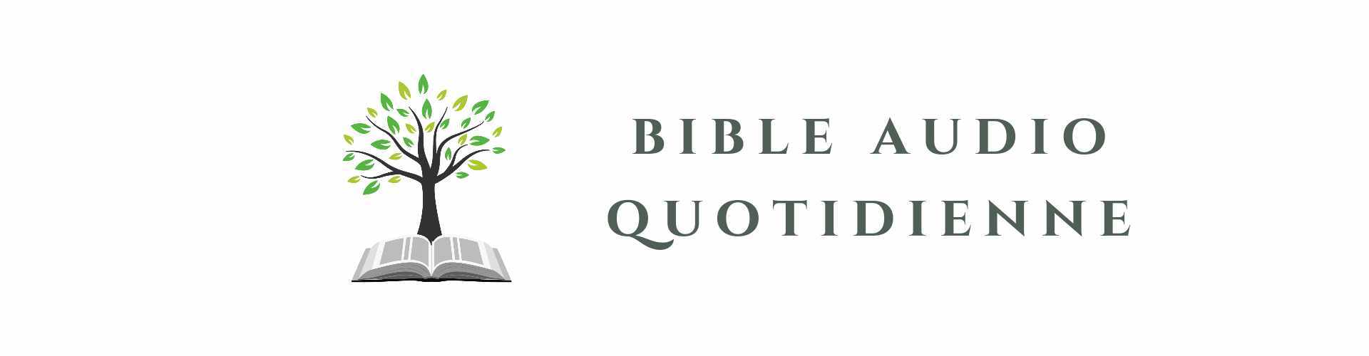 Bible Audio Quotidienne (French Audio Bible)