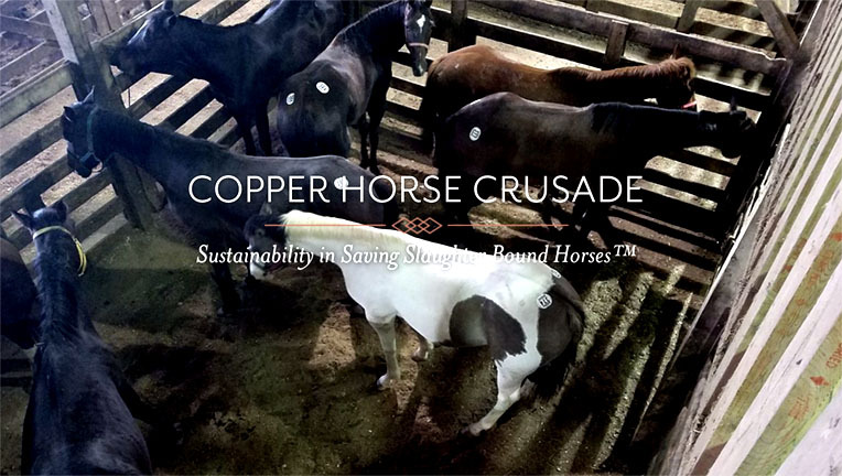 Copper_Horse_Crusade_copy8ur7c.jpg