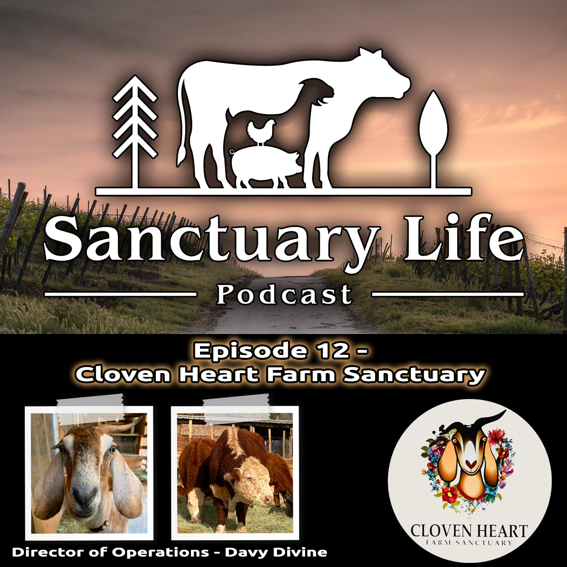 Sanctuary_Life_Podcast_-_Episode_12_-_Cloven_...