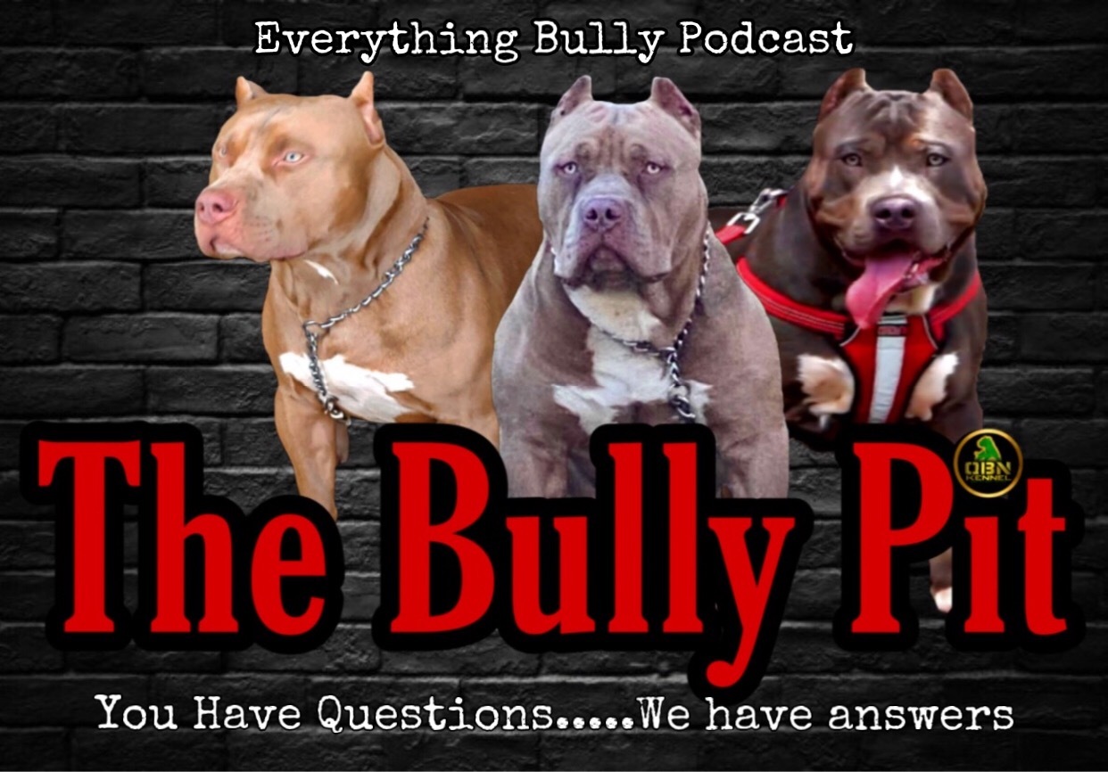 The Bully Pit Podcast
