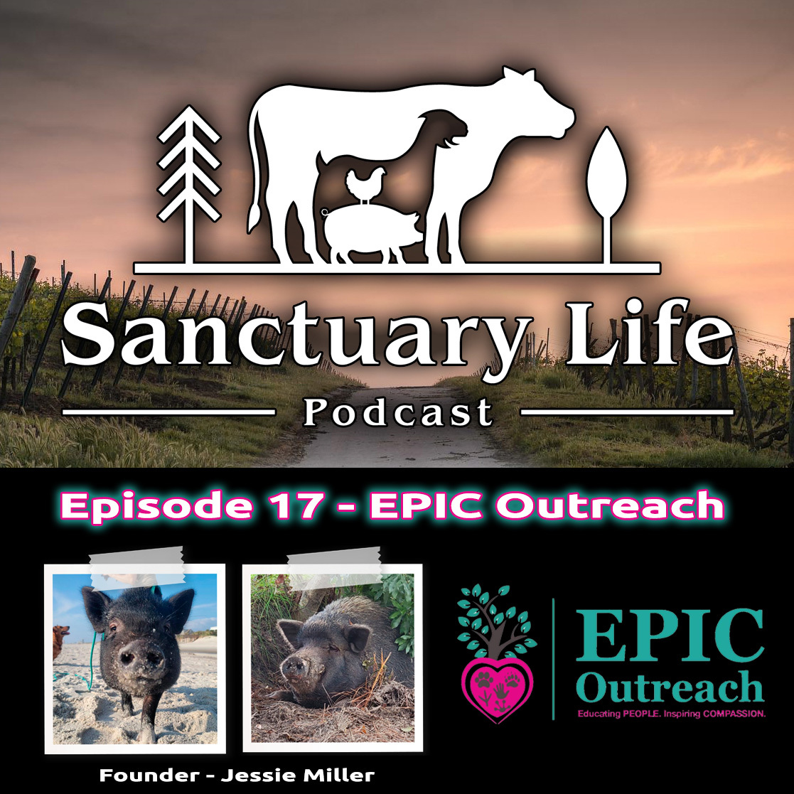 Sanctuary_Life_Podcast_-_Episode_17_-_EPIC_Ou...