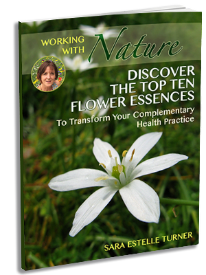 Discover my Top Ten Flower Essences To Help you Transform your Complementary Health Practice