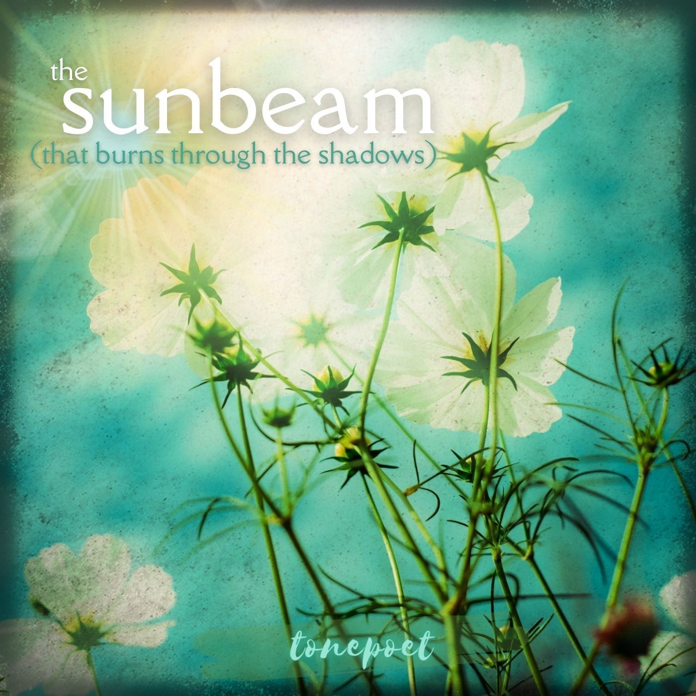 The_Sunbeam_That_Burns_Through_The_Shadows_8y...