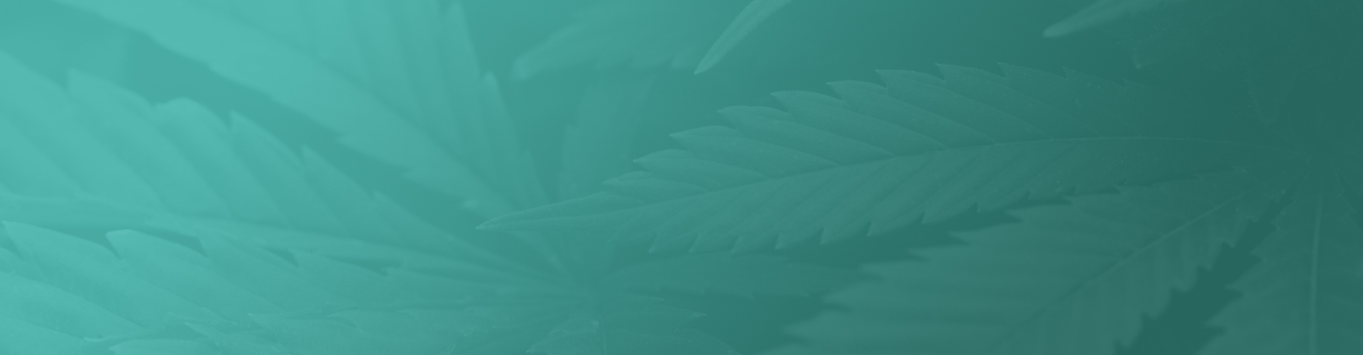 The CannabisNewsAudio Podcast