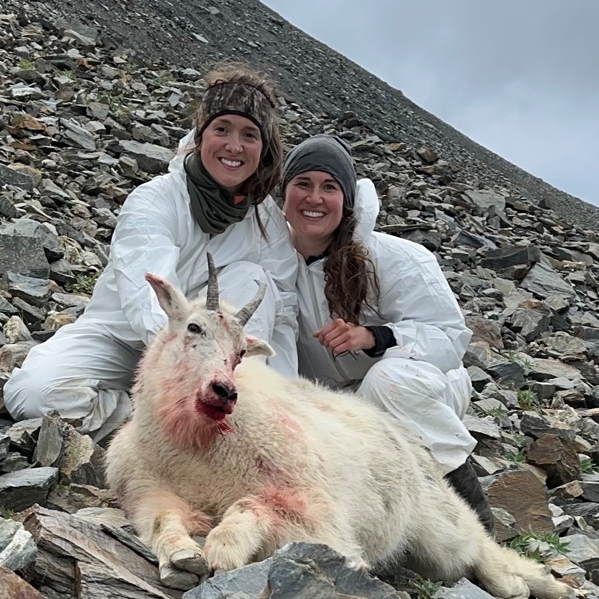 Episode 387 - Fly-in mountain goat hunting