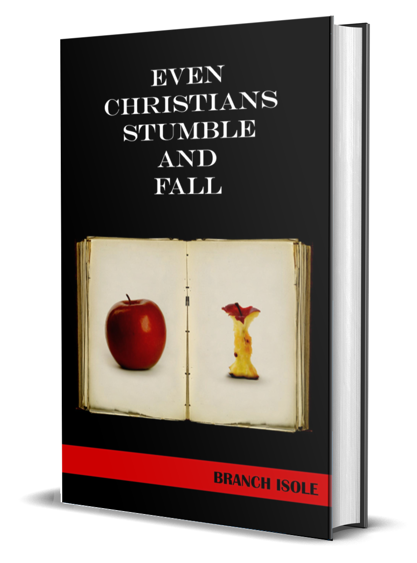Even_Christians_Stumble_and_Fall_3-D_Book_Cov...