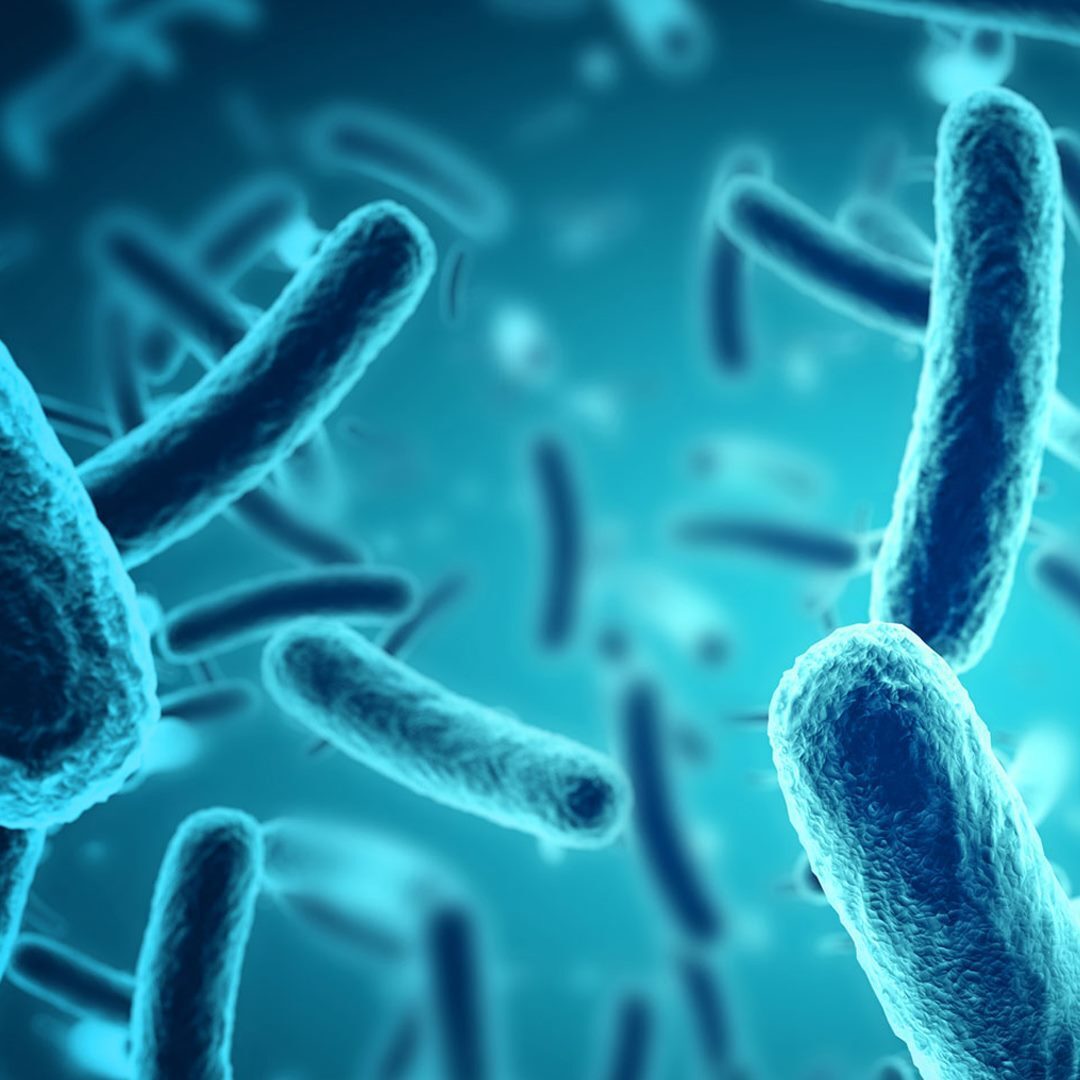 186. Ako urobiť geneticky upravené baktérie bezpečnými?