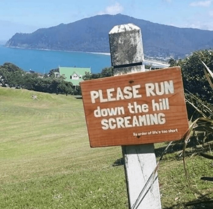 please_run_down_the_hill_screaming9j5u5.jpeg