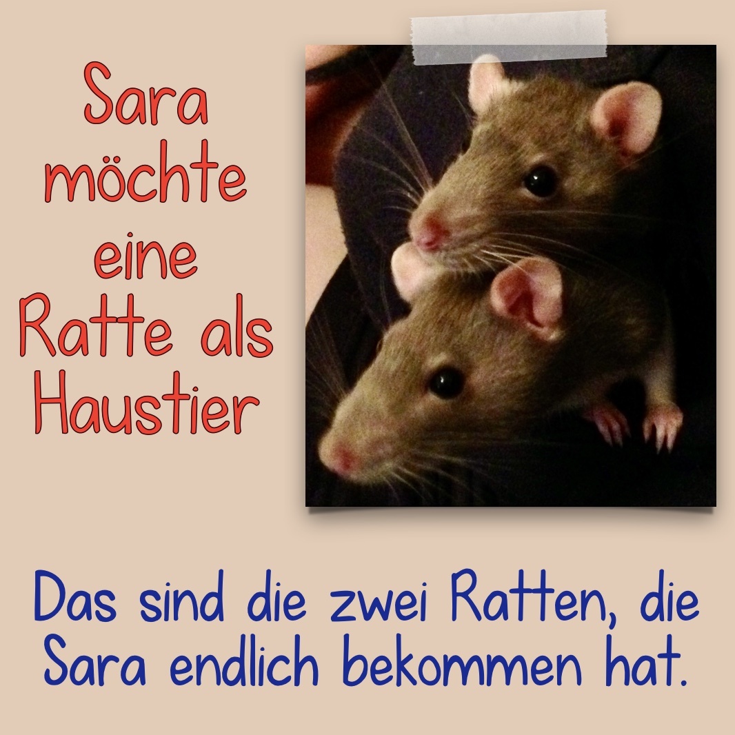 Ratten.jpg
