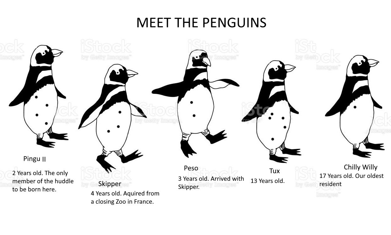 PenguinSign.jpg