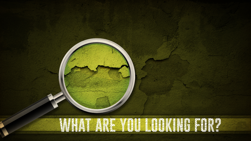 What Are You Looking For? by Pastor Duane Lowe