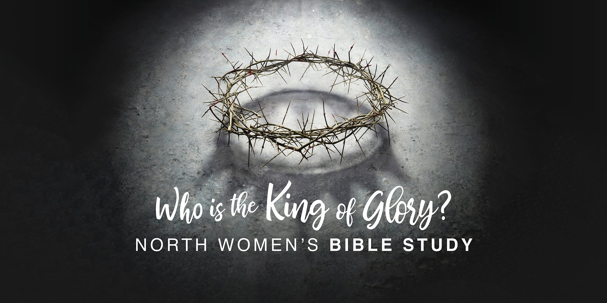 Bethlehem North Women’s Bible Study