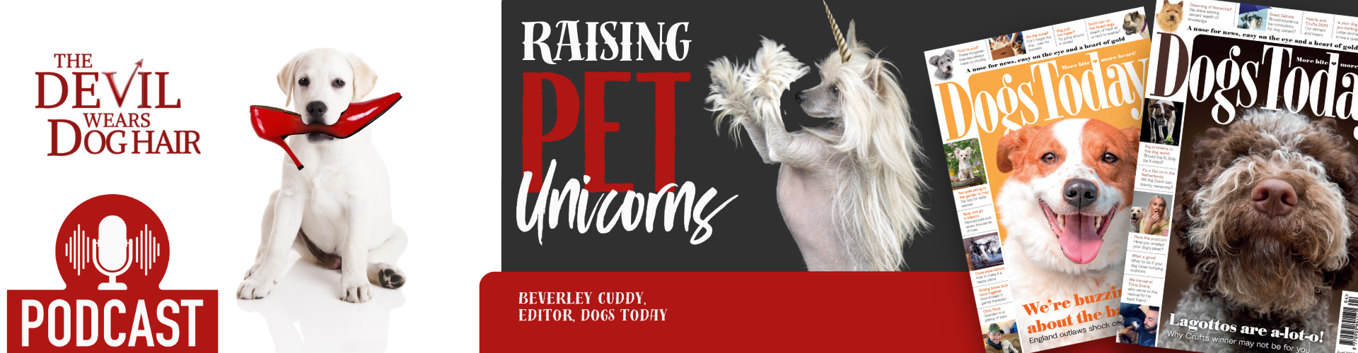 Beverley Cuddy: The Devil Wears Dog Hair’s Podcast