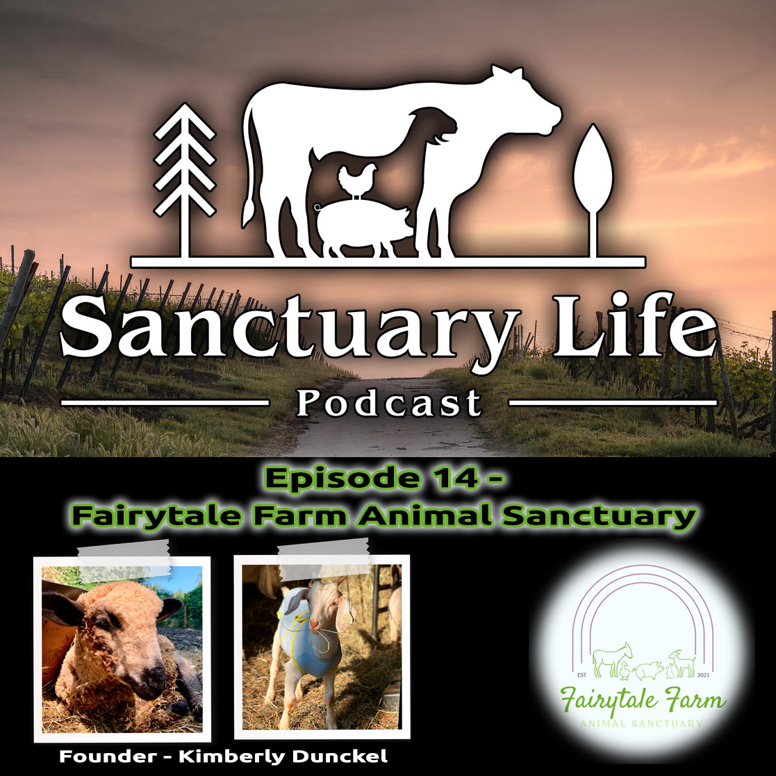 Sanctuary_Life_Podcast_-_Episode_14_-_Fairyta...