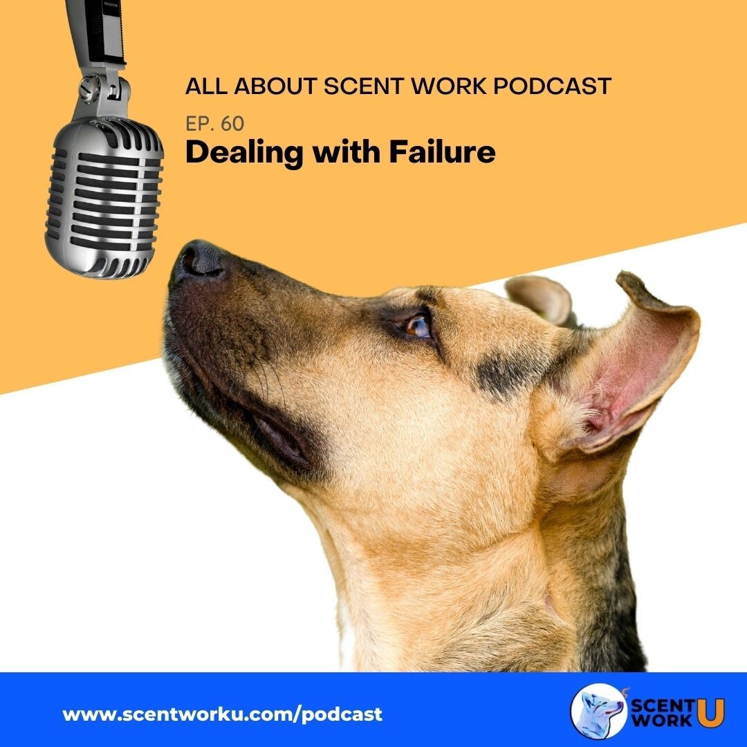 Dealing With Failure