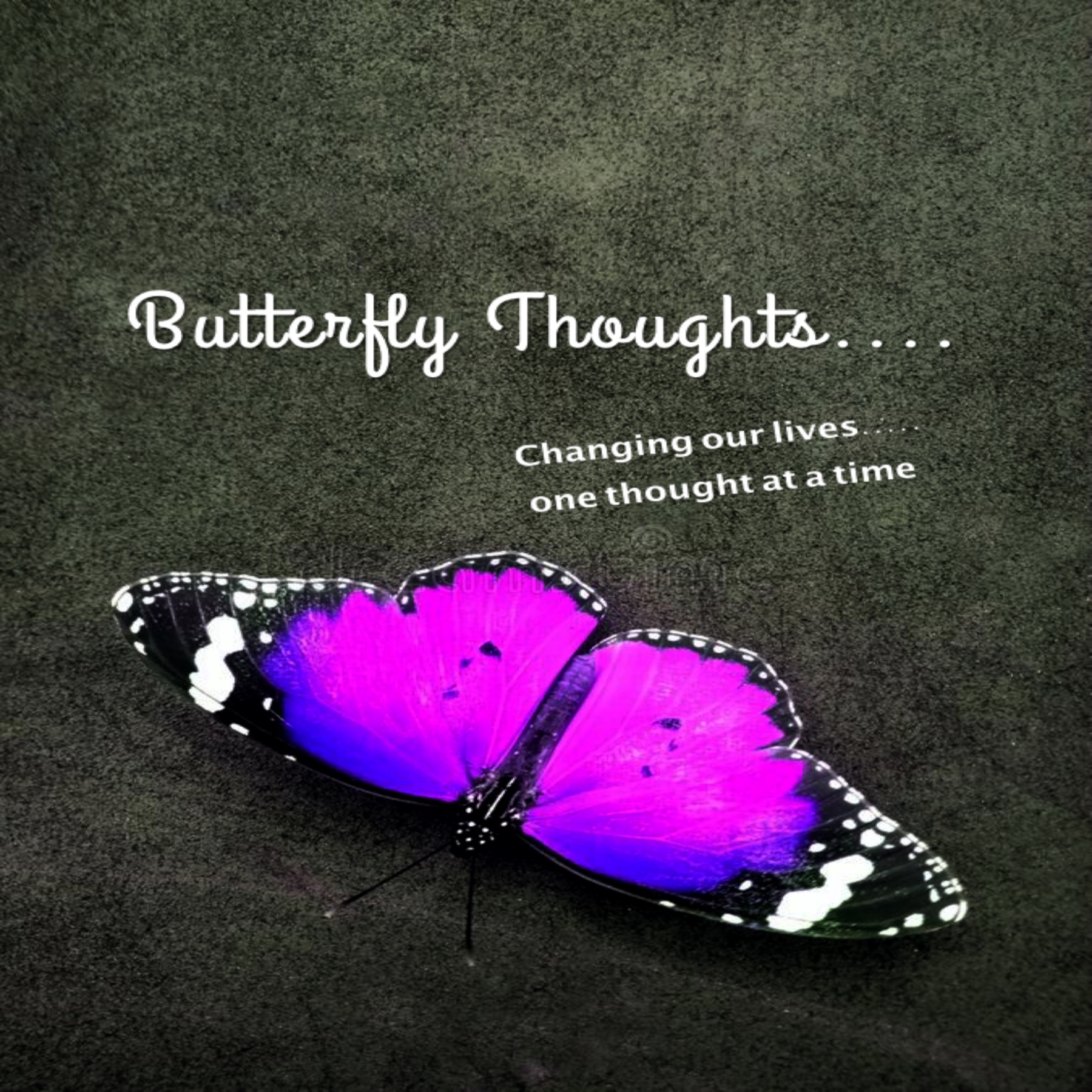 Butterfly_Thoughts.jpg
