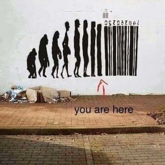 you_are_here_barcode_evolutionbn6a1.jpg