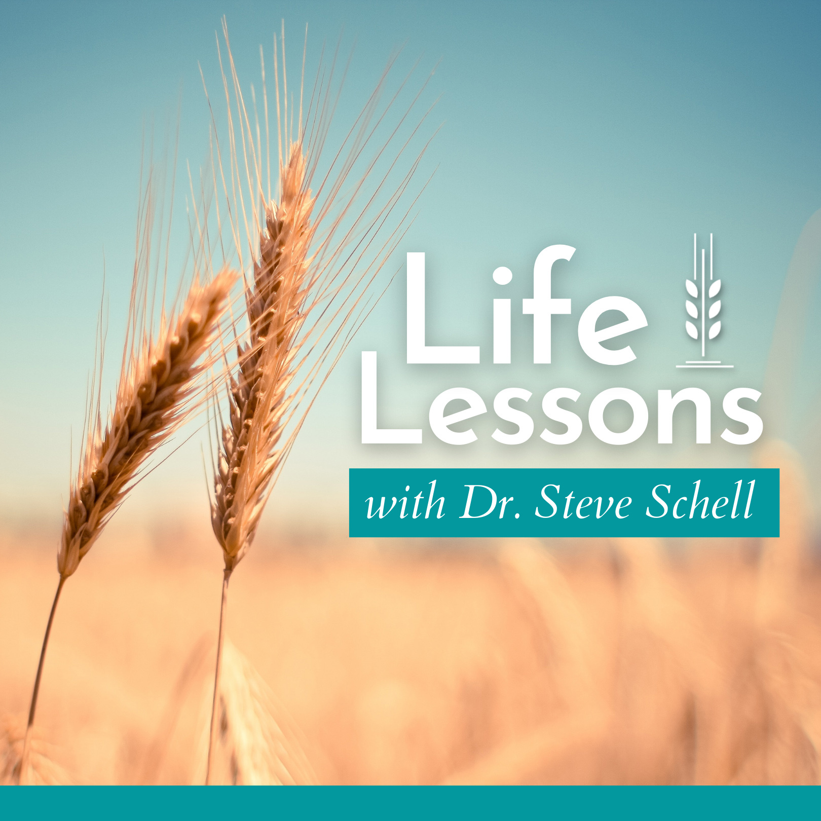 Life Lessons with Dr. Steve Schell