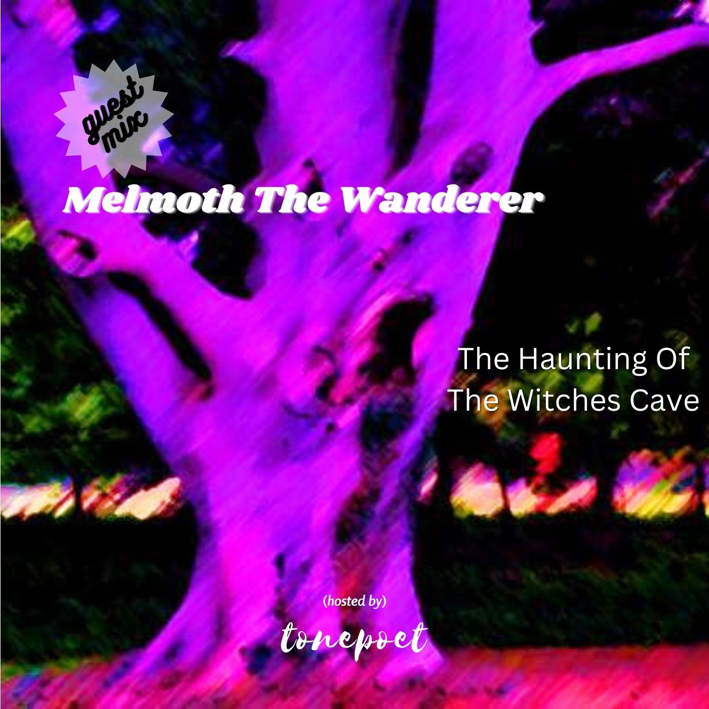 Melmoth_The_Wanderer_-_The_Haunting_Of_The_Wi...
