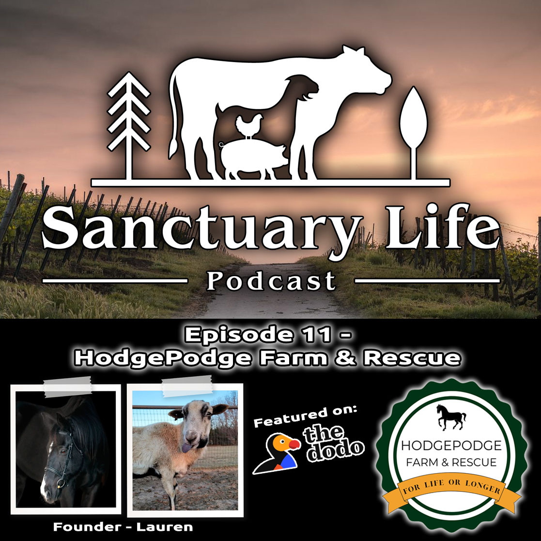 Sanctuary_Life_Podcast_-_Episode_11_-_HodgePo...