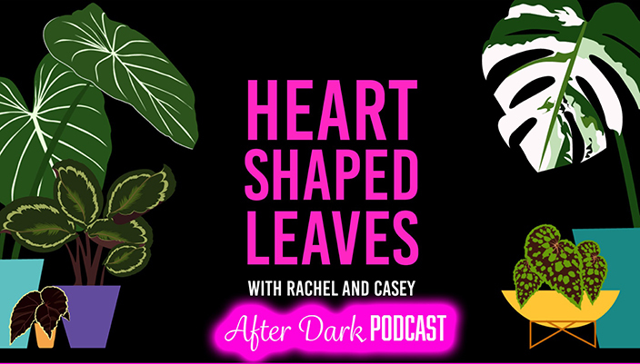 Heart Shaped Leaves After Dark Podcast