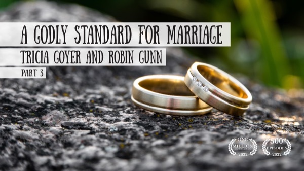 A Godly Standard for Marriage  - Tricia Goyer and Robin Jones Gunn on the Schoolhouse Rocked Podcast