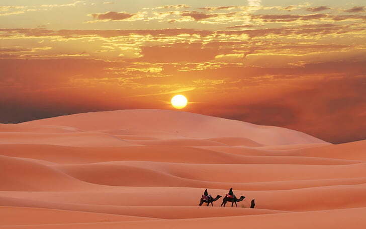 camel-desert-morocco.jpg