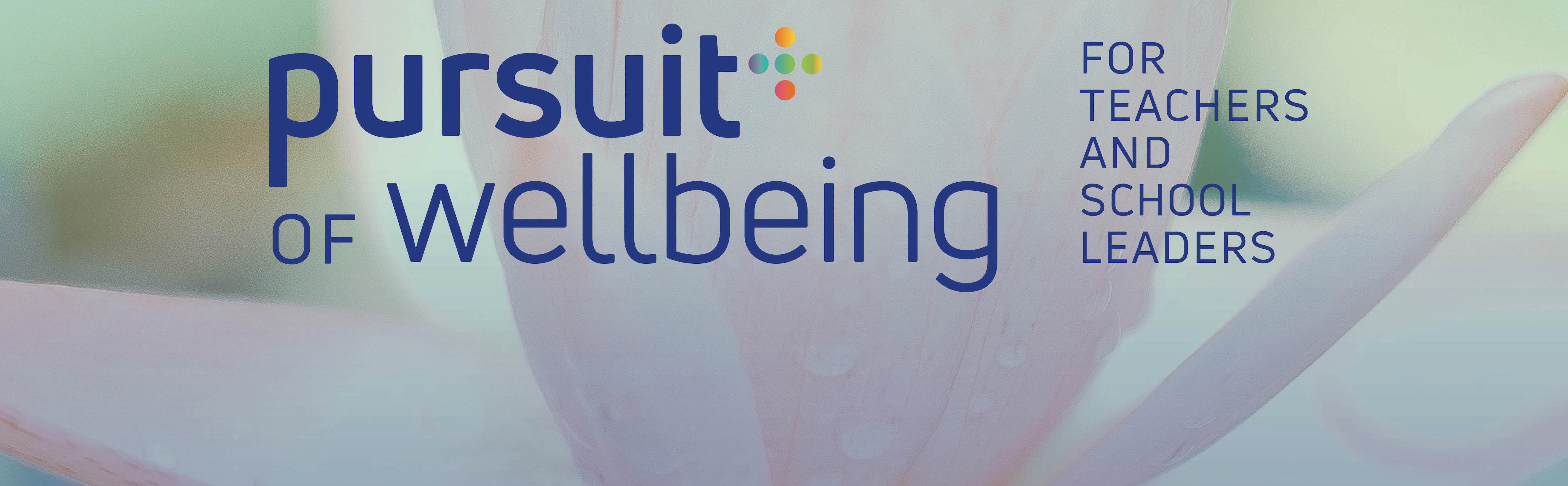 The Pursuit of Wellbeing