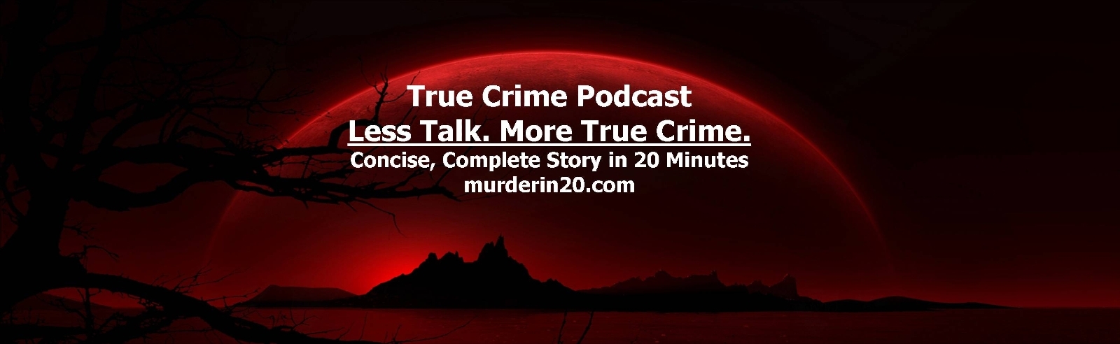 Murder in 20 - True Crime Podcast
