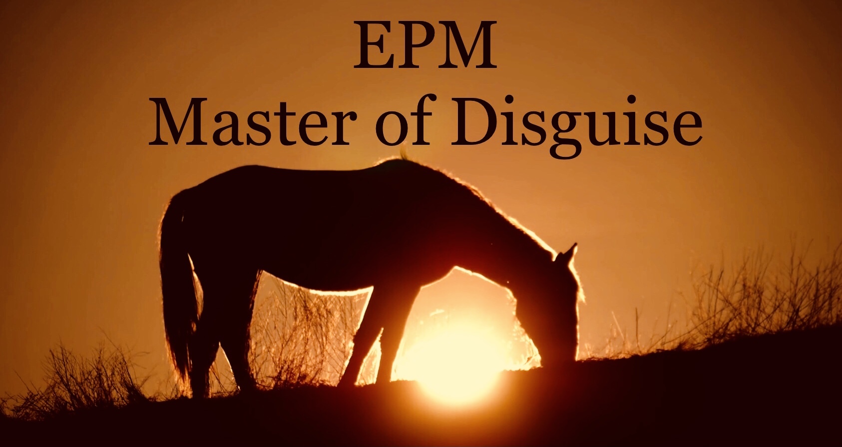 41_EPM_Master_of_Disguise_ao3xl.jpg