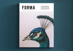 Forma_Journal_Magazine_Cover754rb.jpg