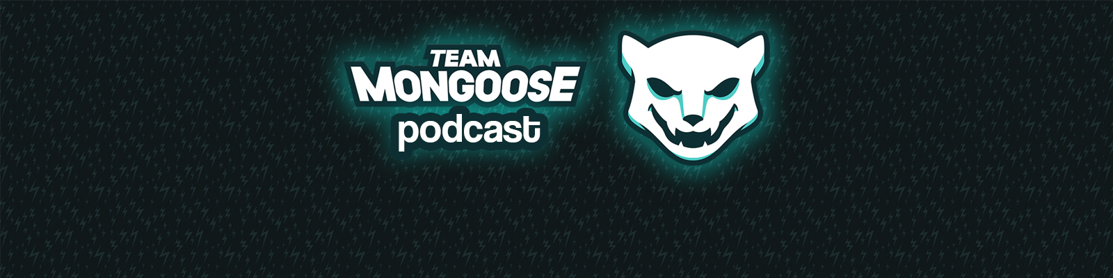 Team Mongoose Podcast