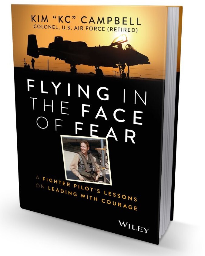 Flying_in_the_Face_of_Fear69qqk.jpg
