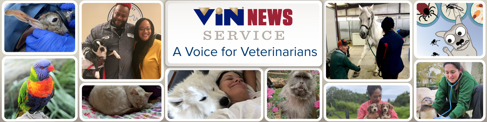 VIN News Service audio stories