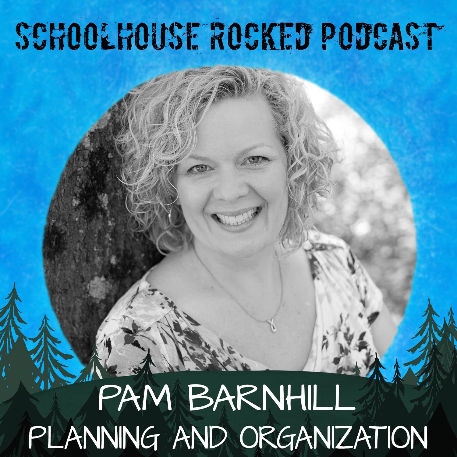 Pam Barnhill - How to organize your homeschool