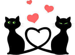 lovecats.jpg