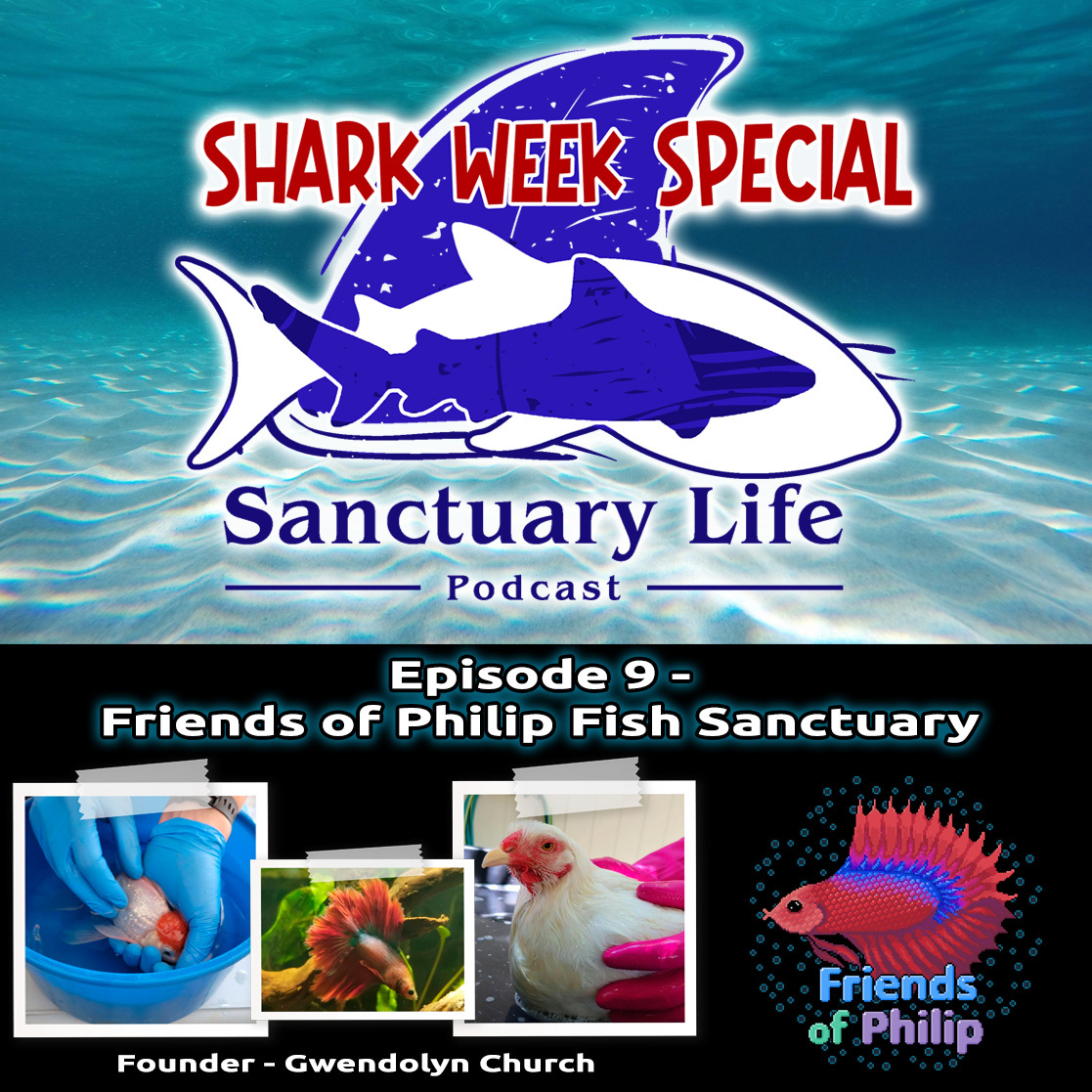 Sanctuary_Life_Podcast_-_Episode_9_-_Friends_...