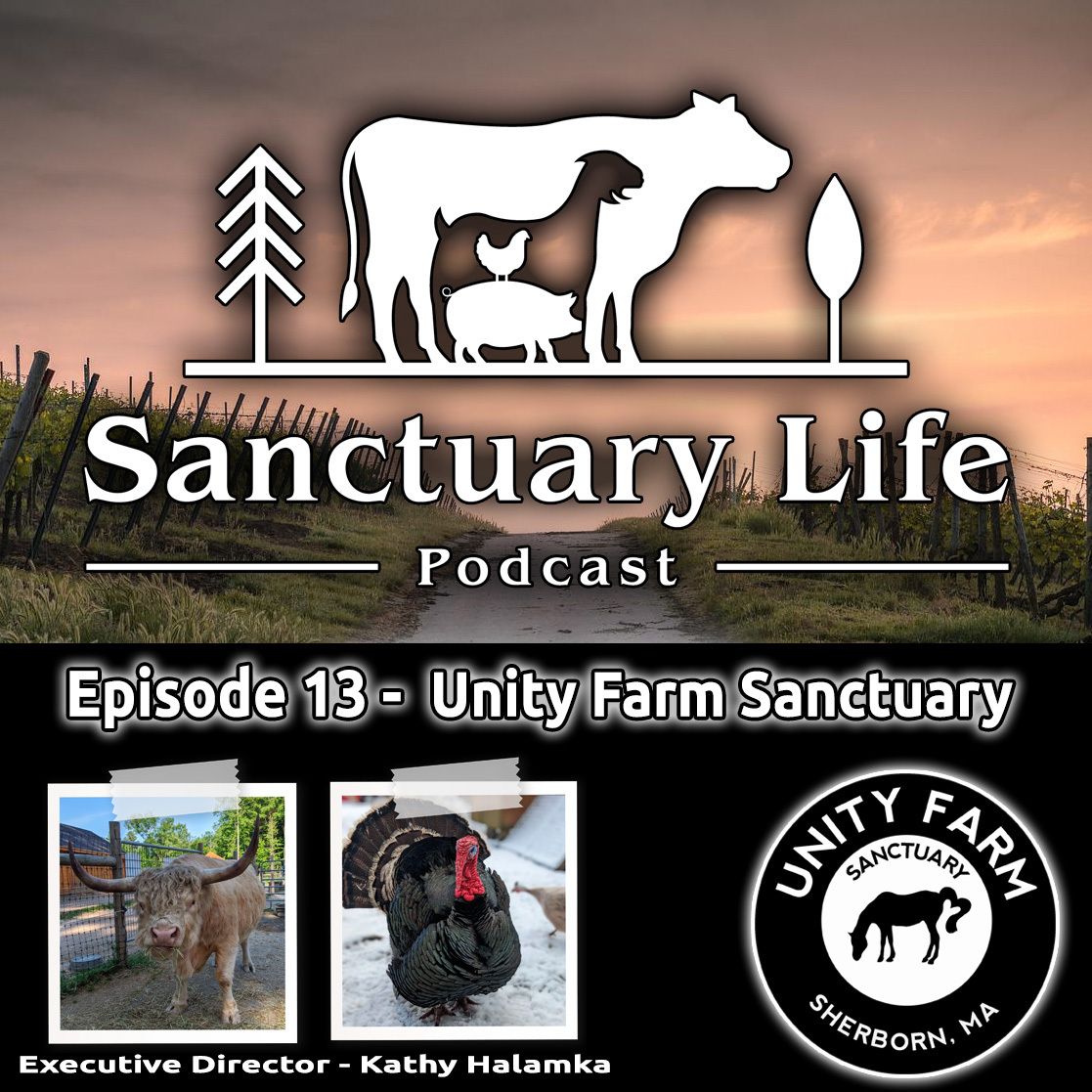 Sanctuary_Life_Podcast_-_Episode_13_-_Unity_F...