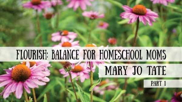 Single Parent Homeschooling - Interview with Mary Jo Tate