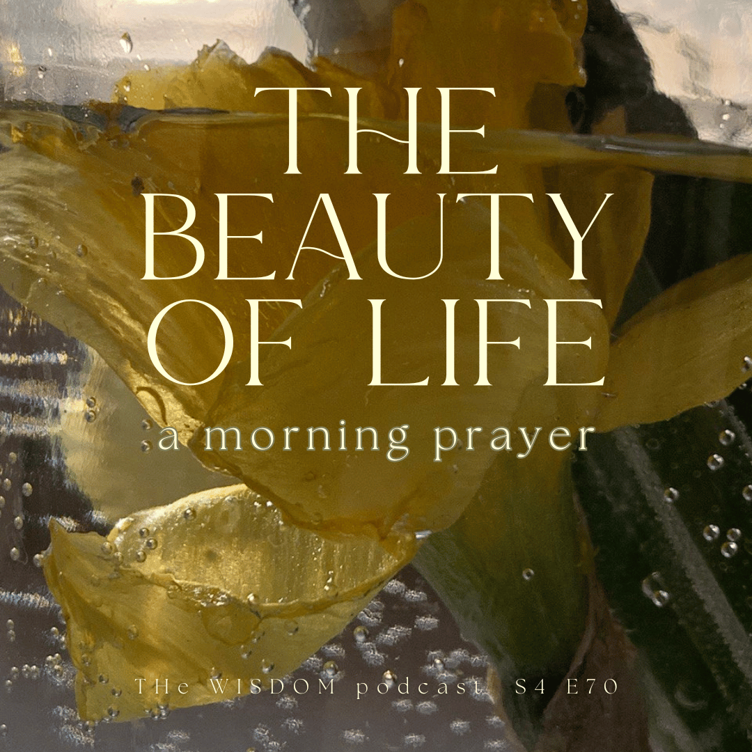 The Beauty of Life ~ A Morning Prayer  |  The WISDOM podcast  | S4 E70