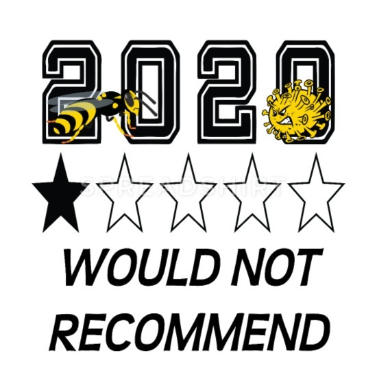 2020-would-not-recommend-mens-t-shirt.jpg