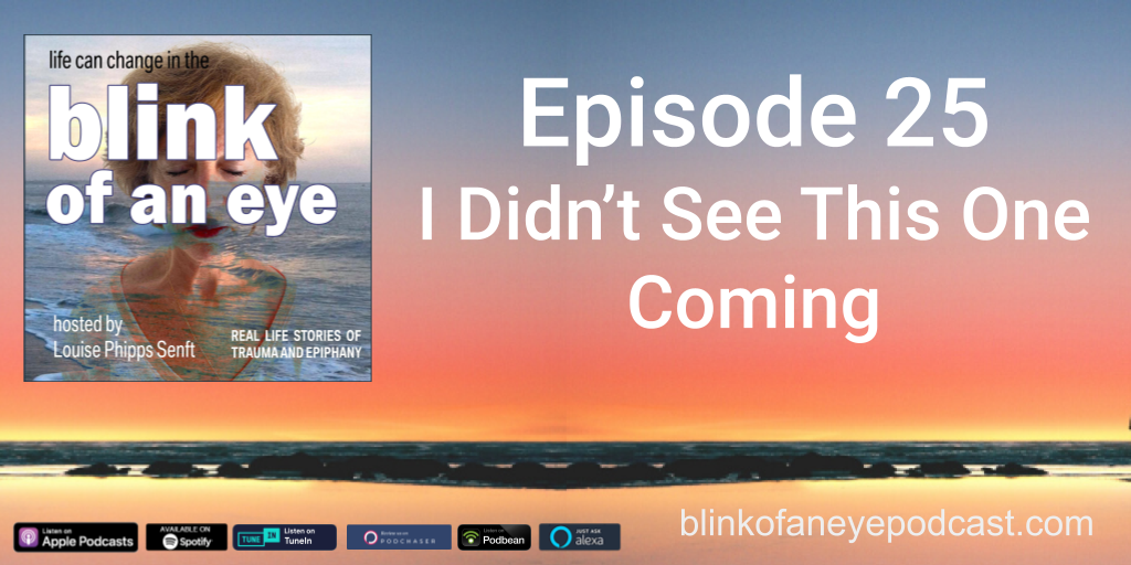 Blink of an Eye Episode 25: I Didn't See This One Coming