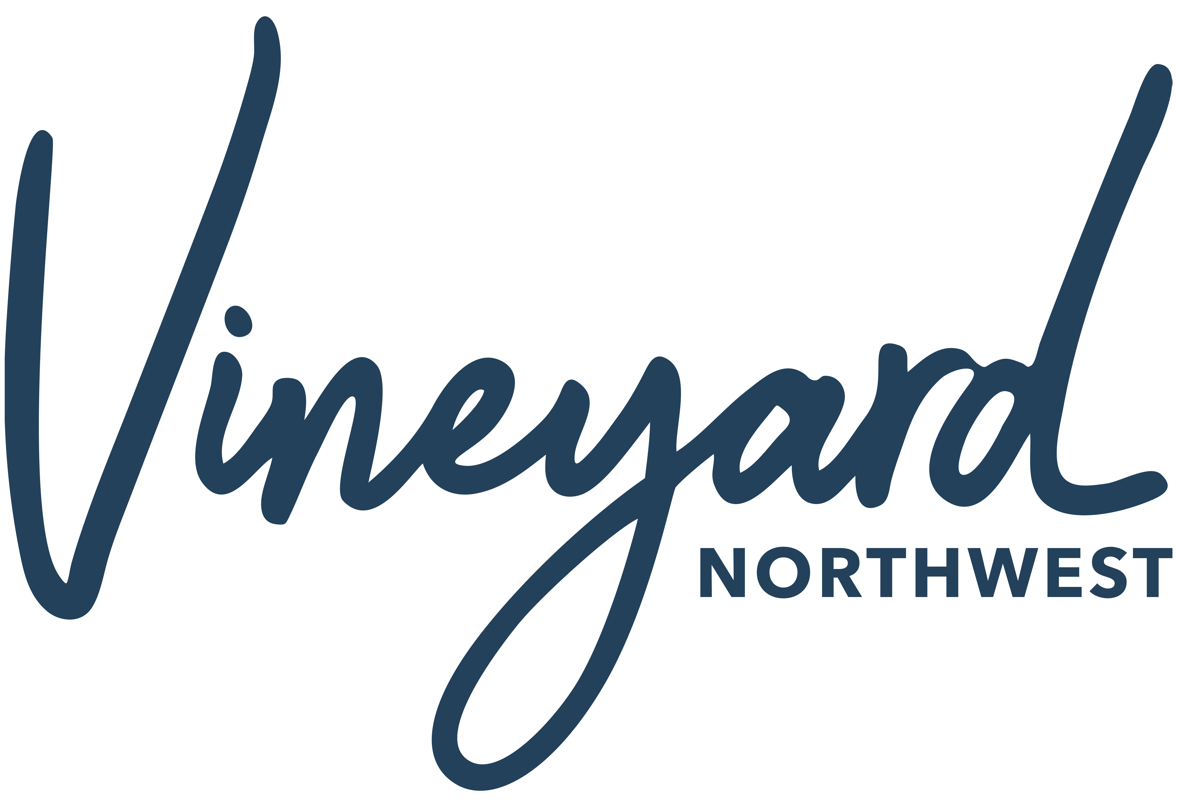 Vineyard Northwest Podcast header image 1