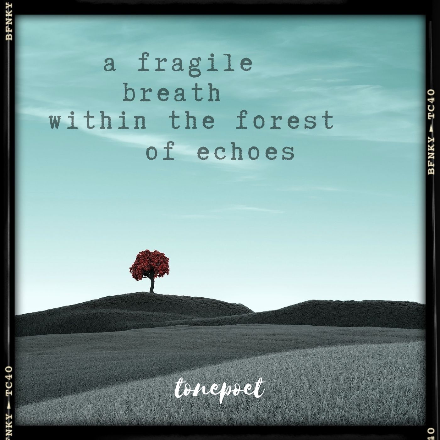 A_Fragile_Breath_Within_The_Forest_Of_Echoes_...