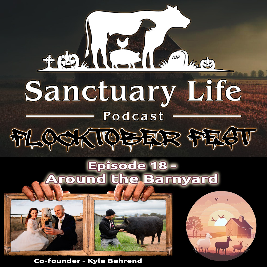 Sanctuary_Life_Podcast_-_Episode_18_-_Around_...