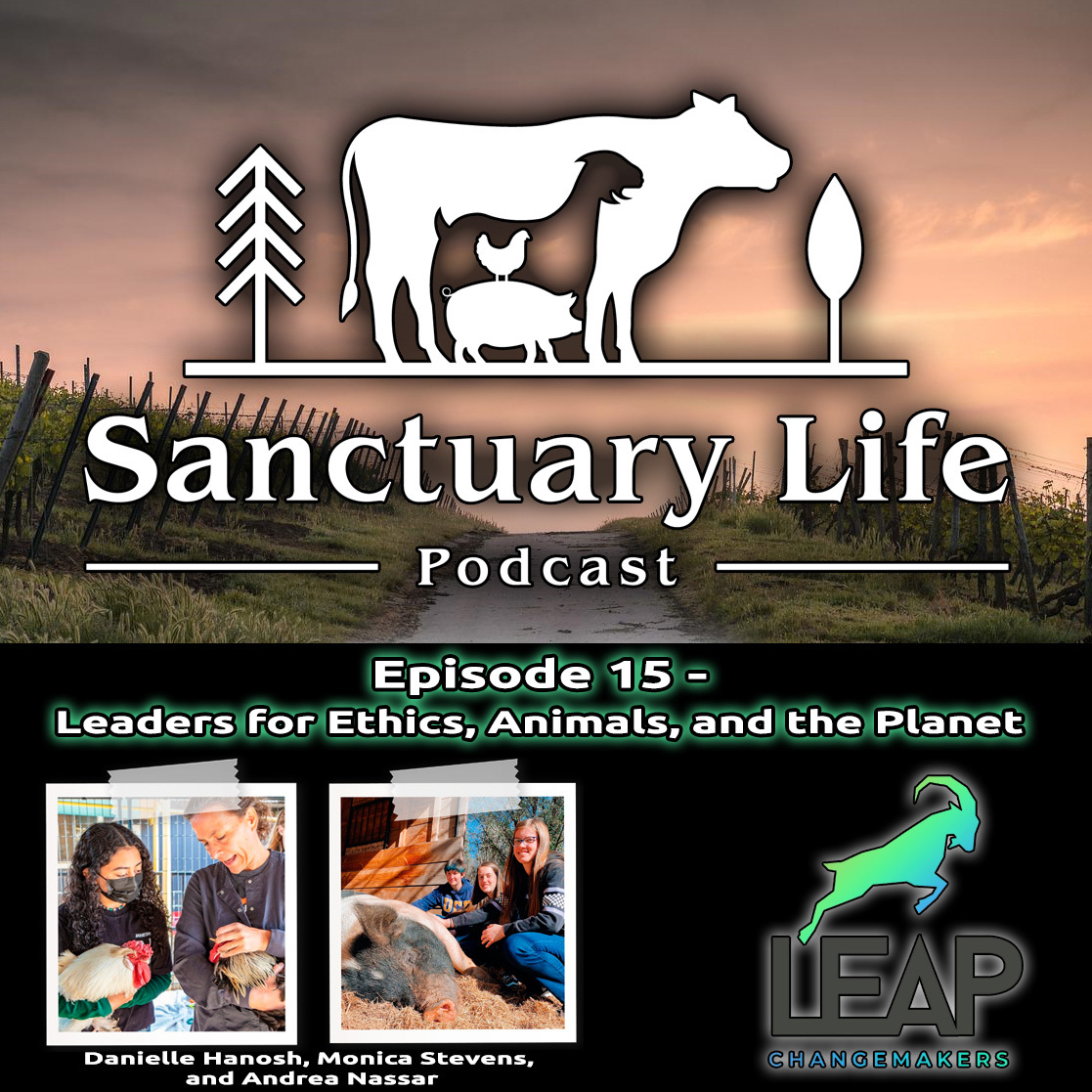 Sanctuary_Life_Podcast_-_Episode_15_-_LEAP7cz...