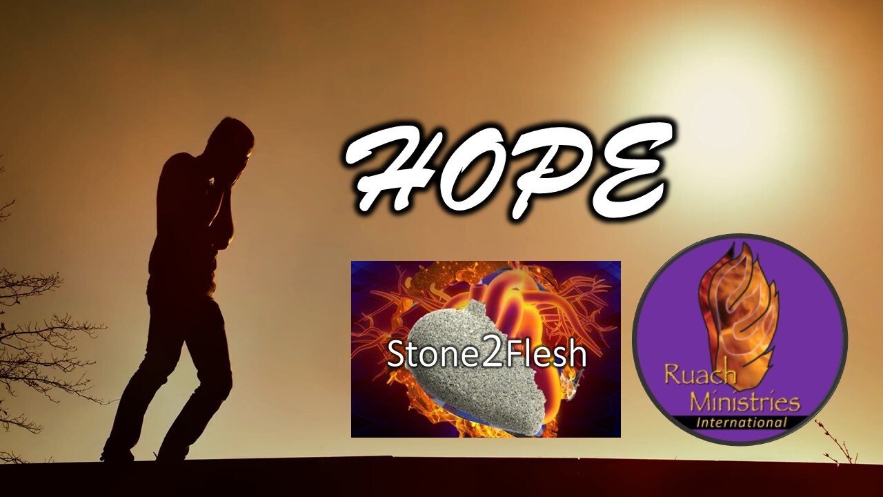 hope_-_stone_to_flesh6g9as.jpg