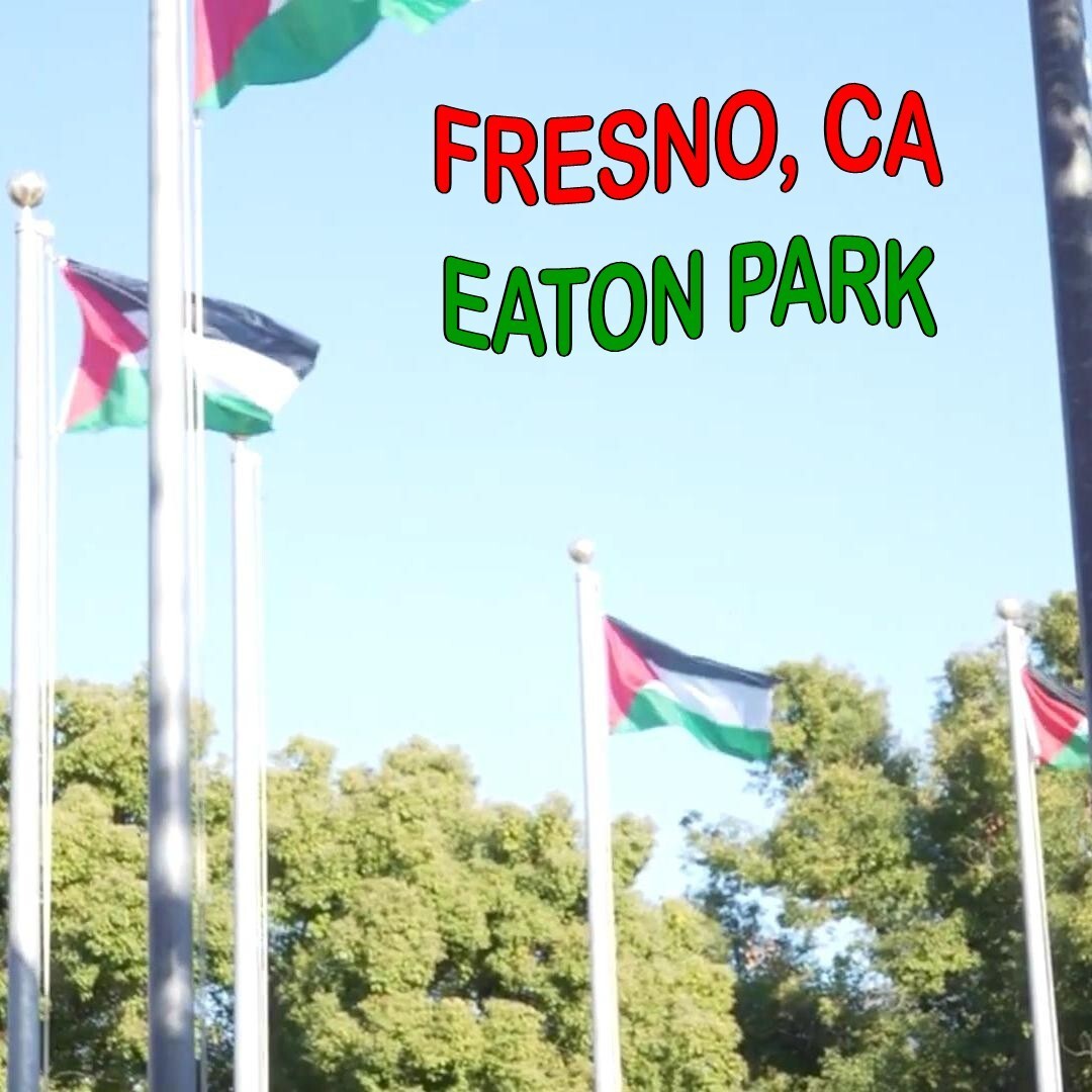 Fresno-Palestine-flag-20231208-03_39zzh8.jpg