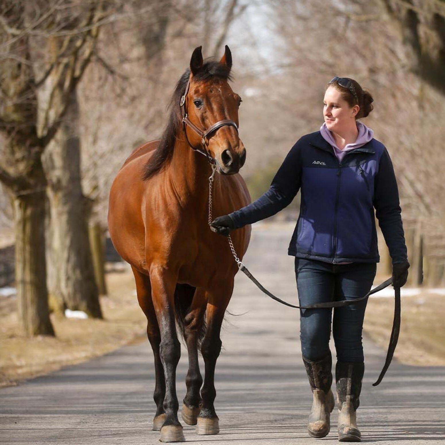 Win-Win: Creating New Careers With Horses